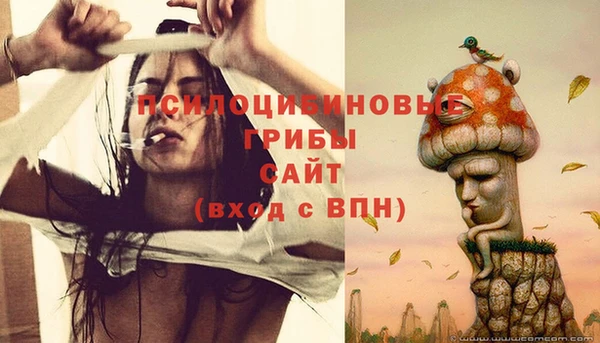 бошки Богданович